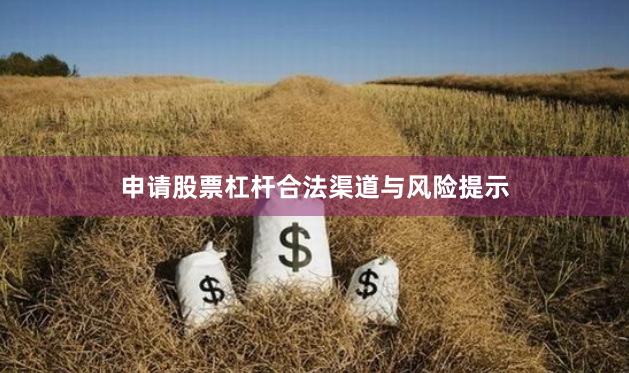 申请股票杠杆合法渠道与风险提示